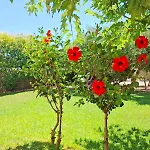 Rhodes Soul Luxury Σπίτι διακοπών