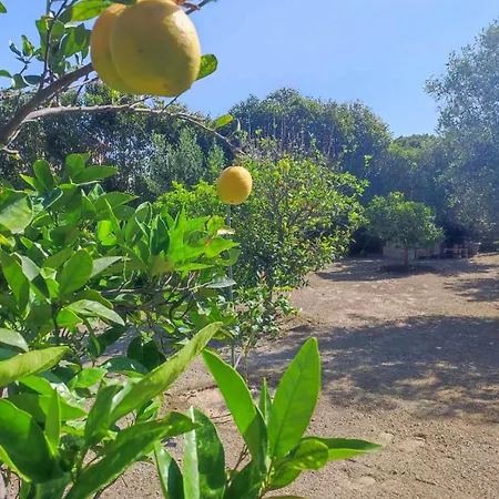 Rhodes Soul Luxury Asgourou