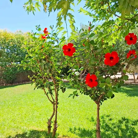 Rhodes Soul Luxury Tatil Evi