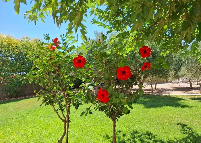 Rhodes Soul Luxury *