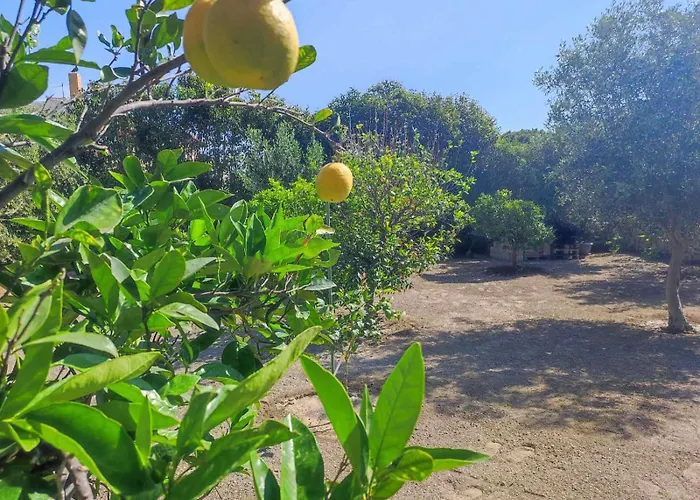 펜션 Rhodes Soul Luxury Asgourou