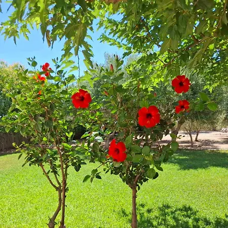 Hébergement de vacances Rhodes Soul Luxury