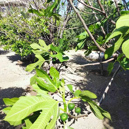 Rhodes Soul Luxury Asgourou