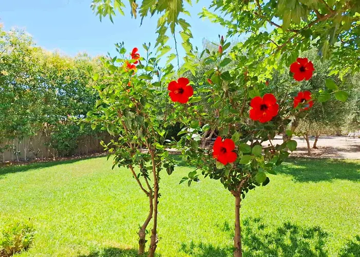 Rhodes Soul Luxury Сasa de vacaciones